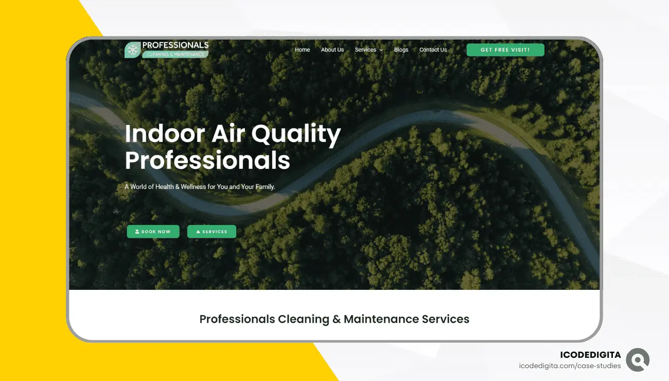 Professionals Cleaning and Maintenance